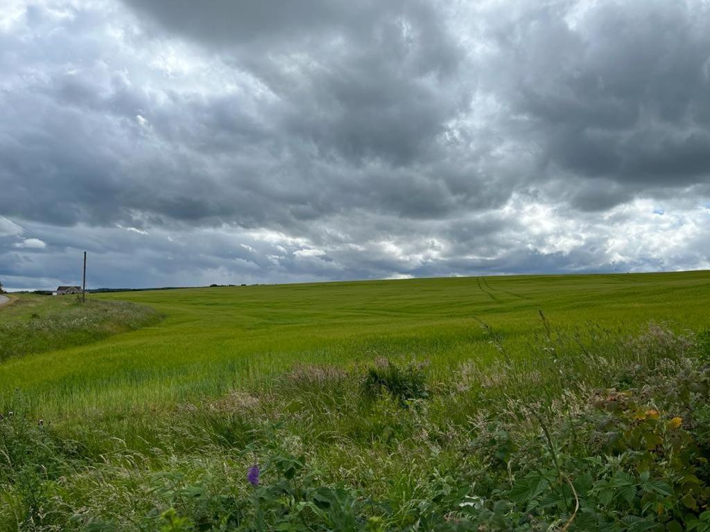 Willow Cottage Kinloss Екстериор снимка